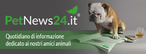 PetNews24.it